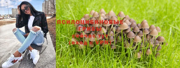 трава Аркадак