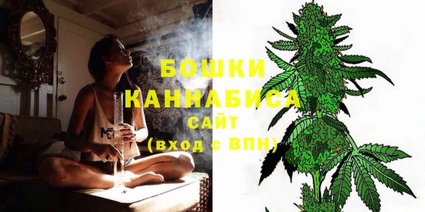 трава Аркадак